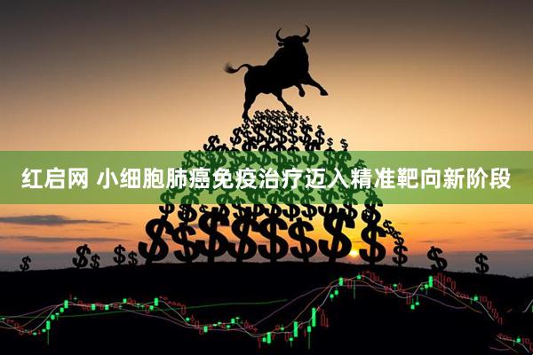 红启网 小细胞肺癌免疫治疗迈入精准靶向新阶段