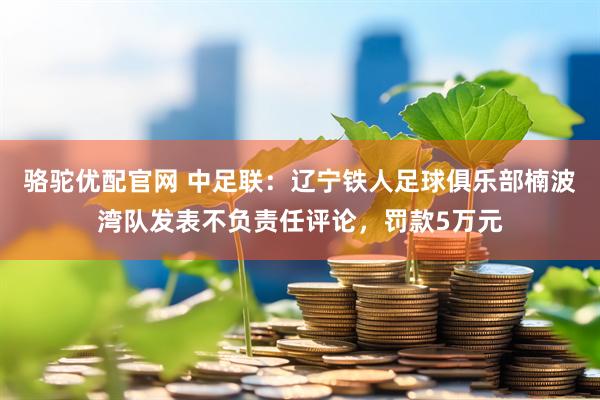 骆驼优配官网 中足联：辽宁铁人足球俱乐部楠波湾队发表不负责任评论，罚款5万元